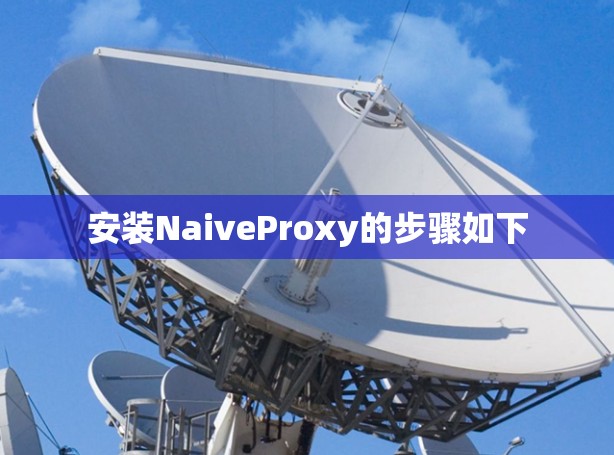 安装NaiveProxy的步骤如下