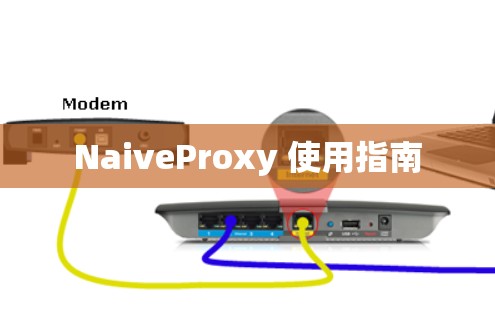 NaiveProxy 使用指南