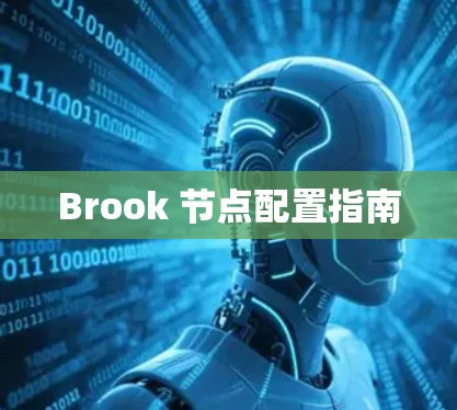 Brook 节点配置指南