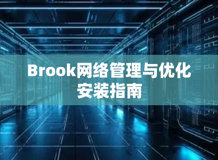 Brook网络管理与优化安装指南