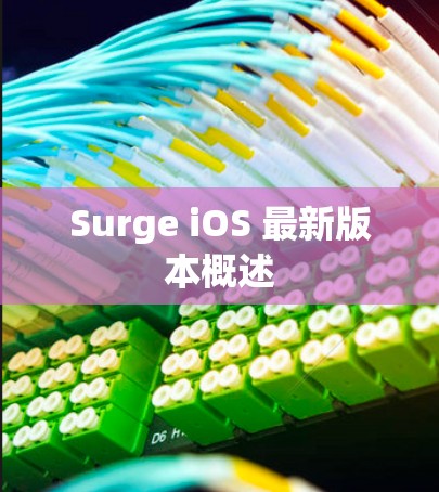 Surge iOS 最新版本概述