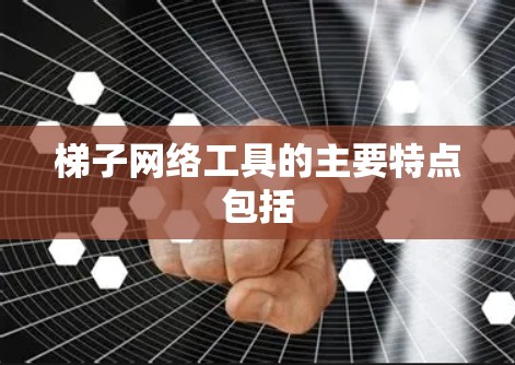 梯子网络工具的主要特点包括