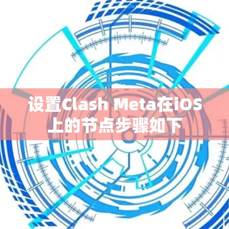 设置Clash Meta在iOS上的节点步骤如下