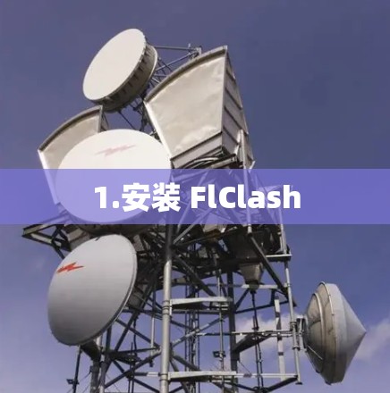 1.安装 FlClash