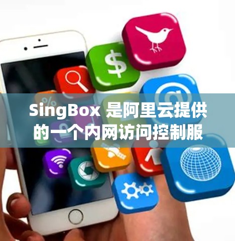 SingBox 是阿里云提供的一个内网访问控制服务，用于管理云资源的访问权限。以下是关于 SingBox 代理管理的基本步骤和信息