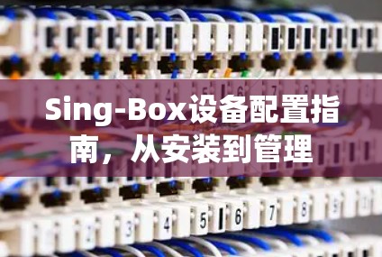 Sing-Box设备配置指南，从安装到管理