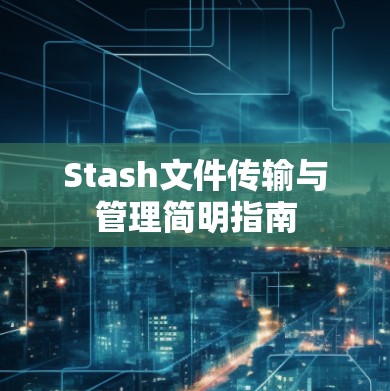 Stash文件传输与管理简明指南
